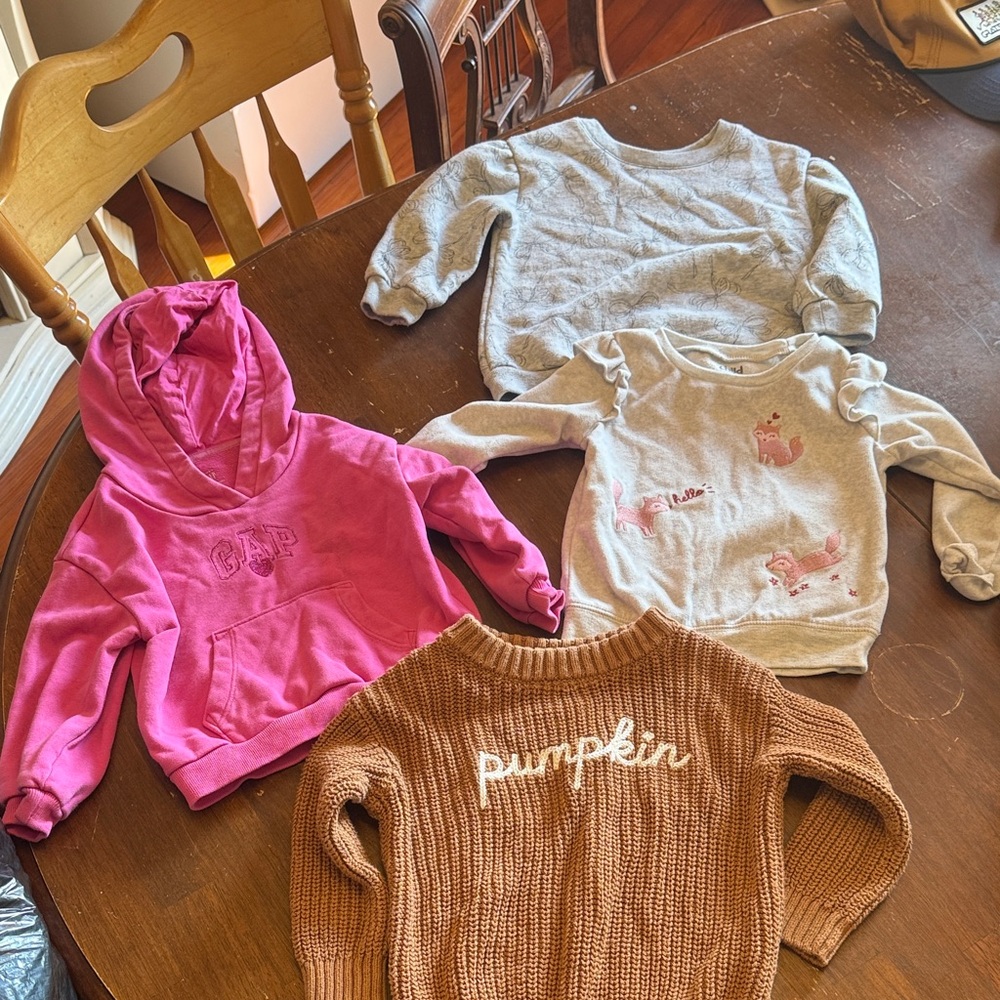 GAP Pink Hoodie and Cozy Sweater Collection